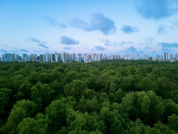 Maîtrise du Classique : Techniques et Dynamiques au Cœur de l'Art Pictural